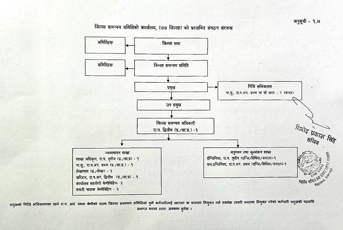 संगठन संरचना